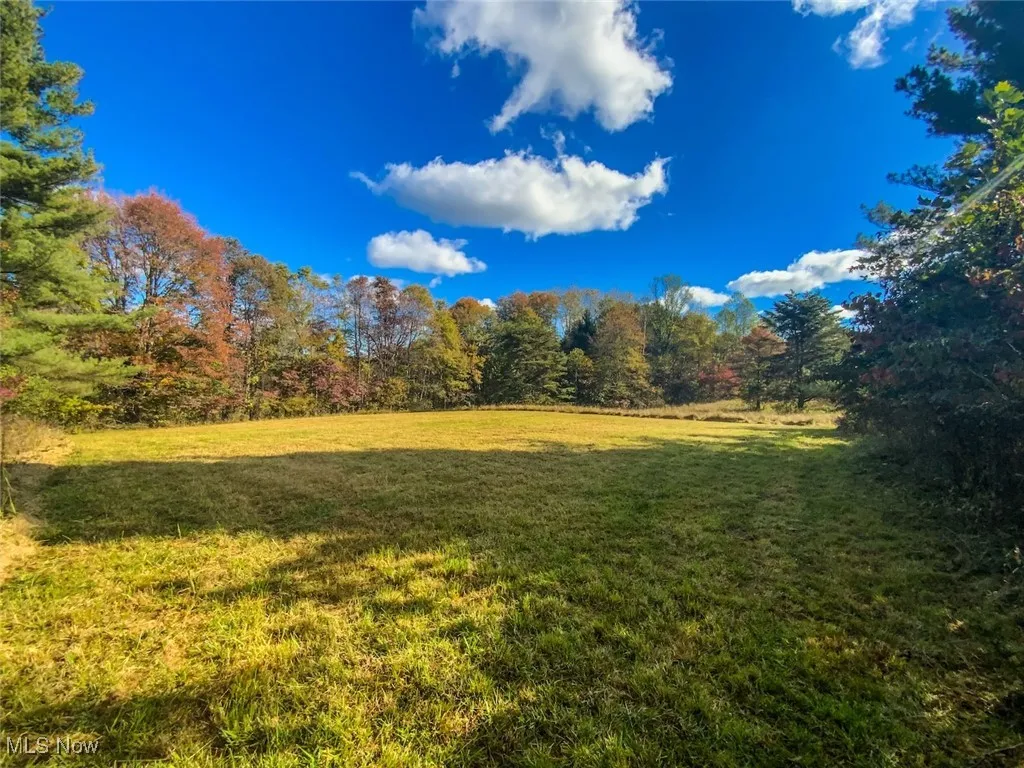 View of green lawn featuring a view of trees