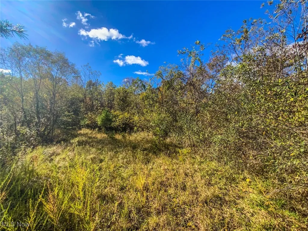 View of nature