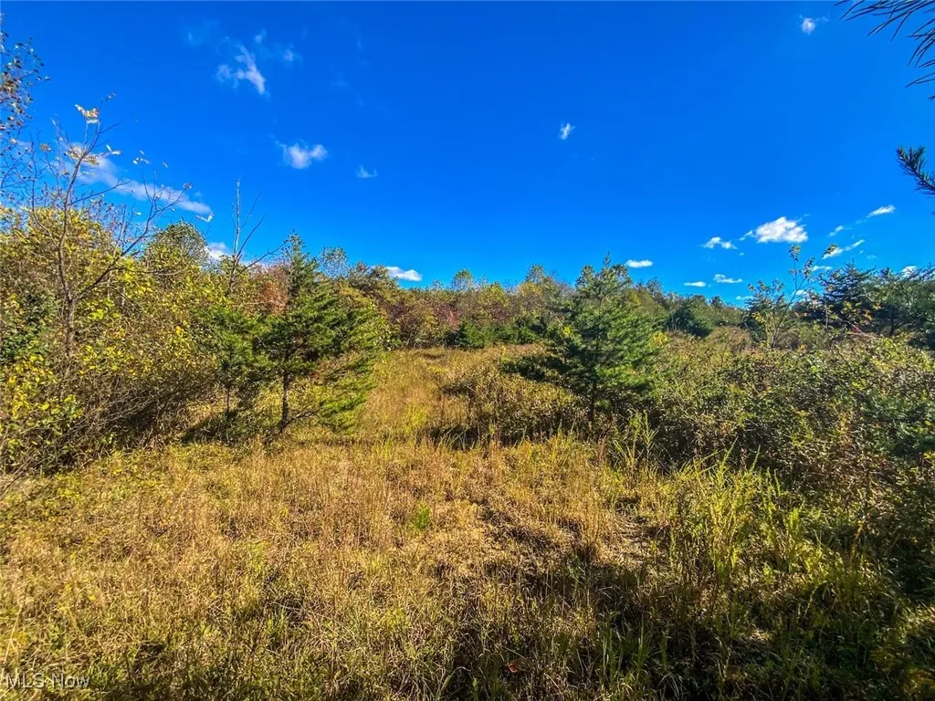 View of woods