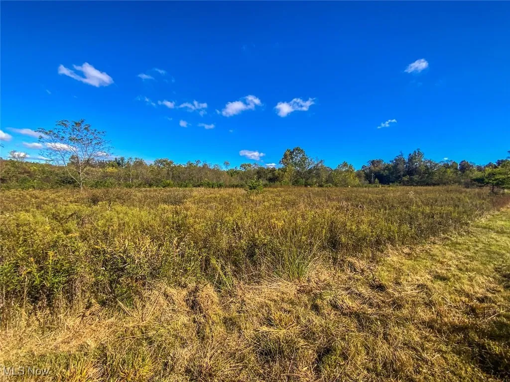 View of undeveloped land with rural landscape