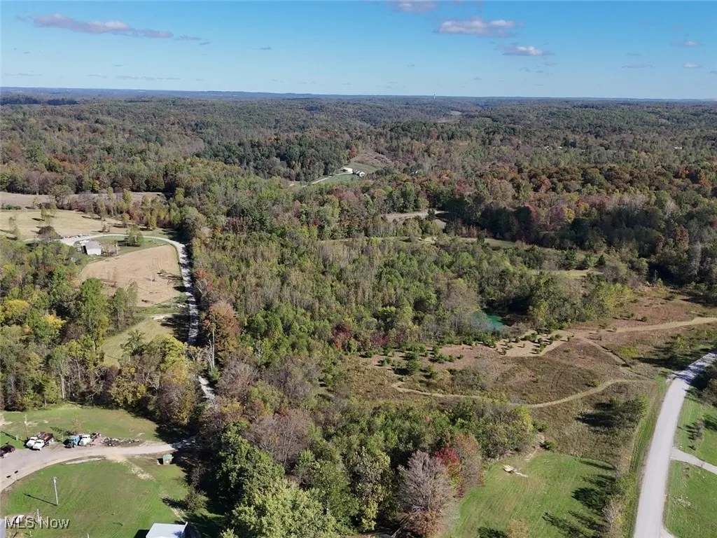 Aerial view of property's location with a forest