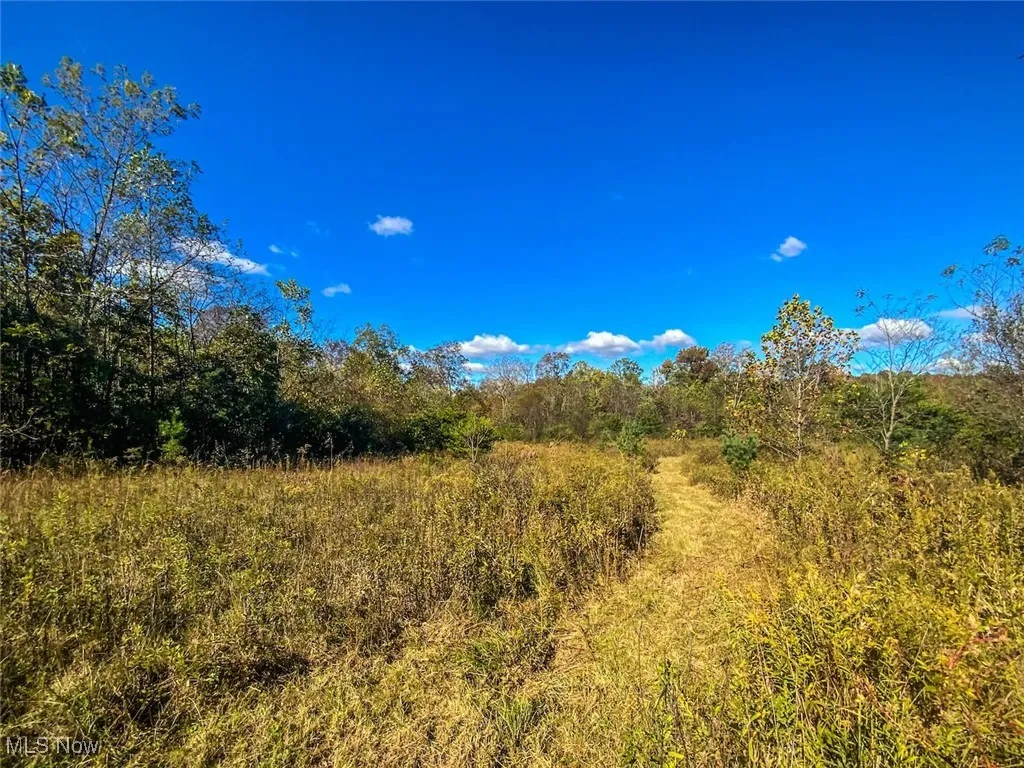 View of wooded area