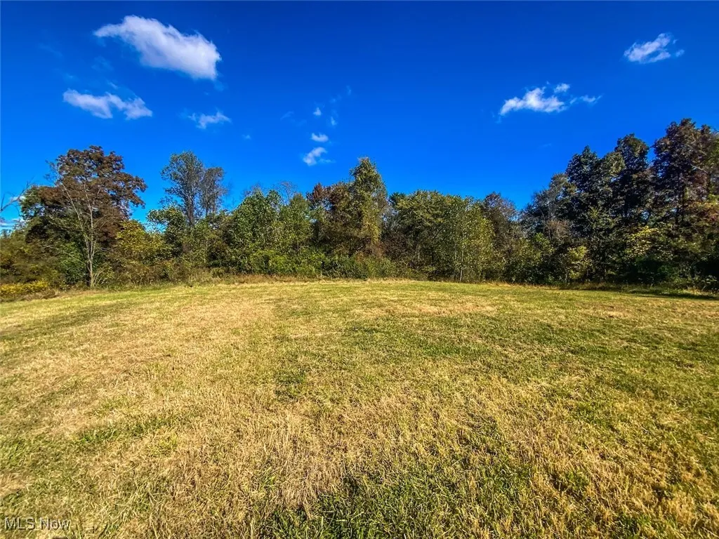 View of grassy yard