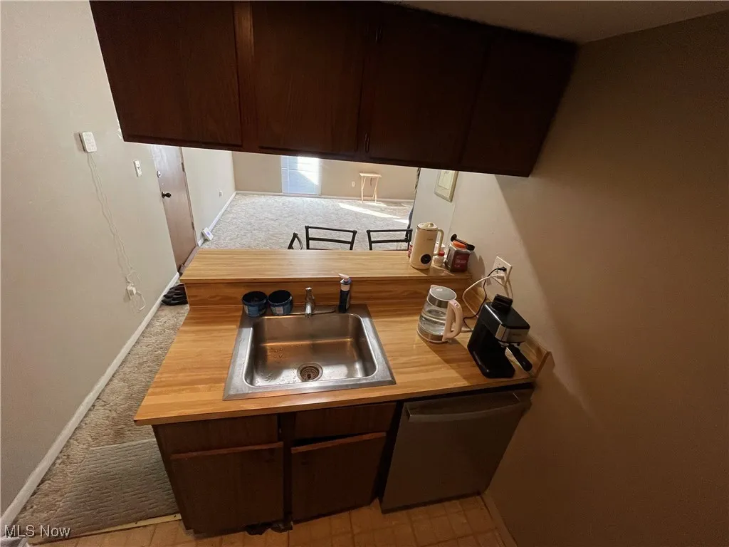 Kitchen with light carpet, dark brown cabinetry, and dishwasher