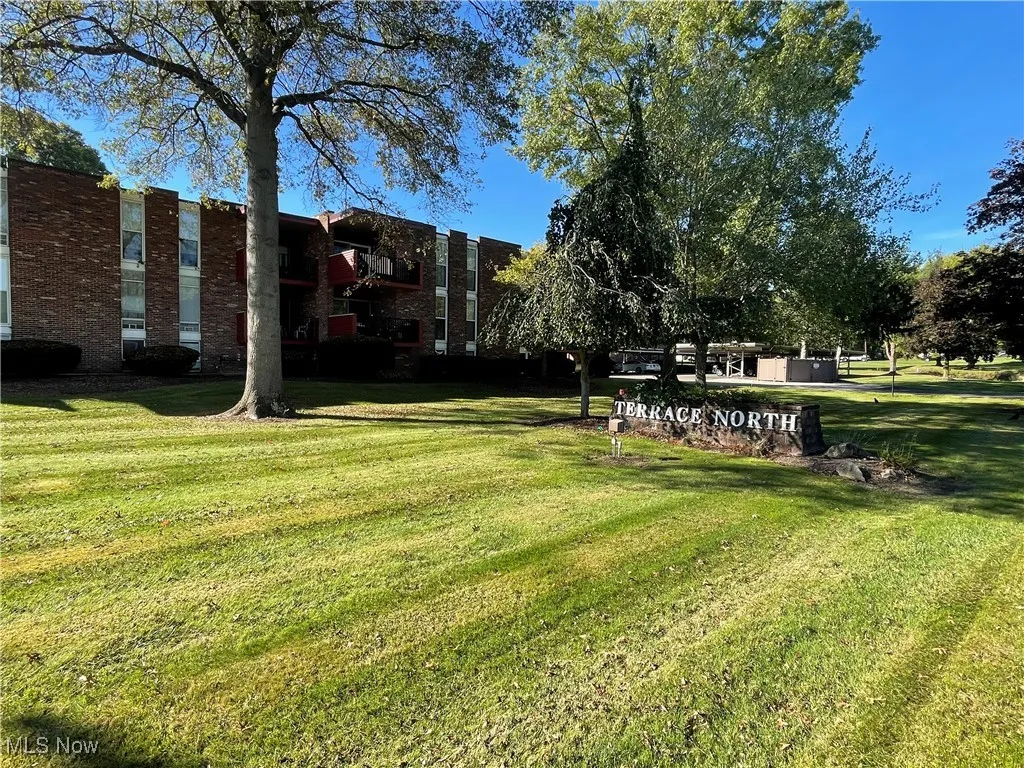 View of grassy yard