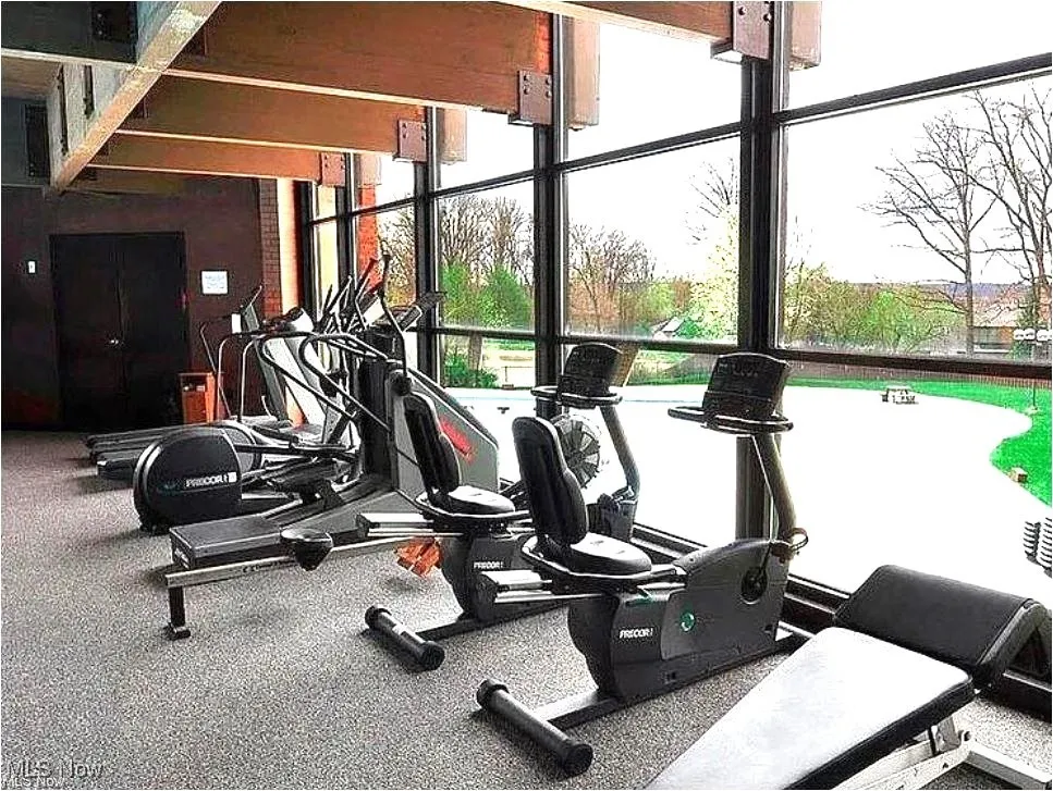 6280 Greenwood Parkway # 202, Sagamore Hills, Ohio 44067,MLS Now Listing ID