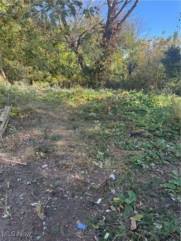 1046 W 21st Street, Lorain, Ohio 44052,MLS Now Listing ID
