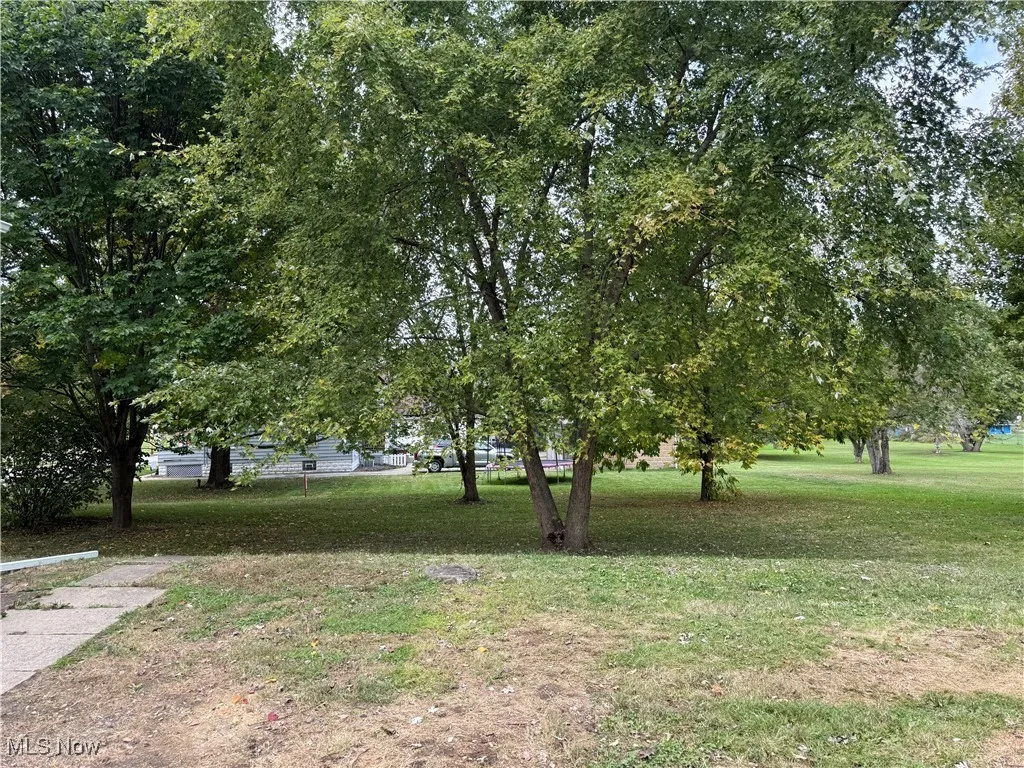 View of grassy yard