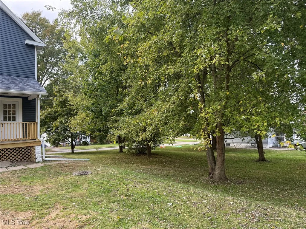 View of grassy yard