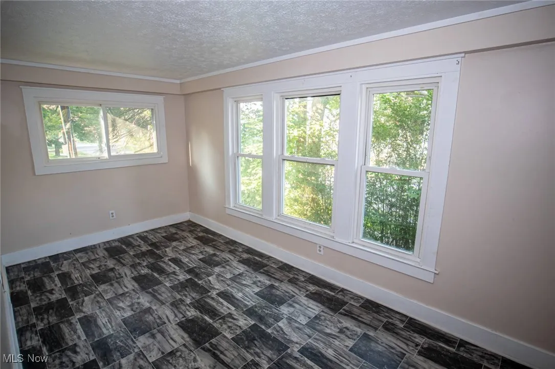 Spare room featuring plenty of natural light, ornamental molding, and a textured ceiling