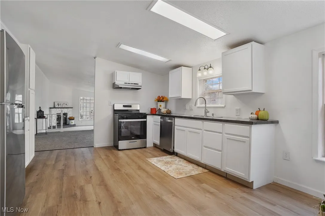 2025 kitchen updated new cabinets, lighting, sink, sink faucet, cabinet fixtures, paint, blinds, countertops refurbished, flooring, and all new energy efficient appliances.