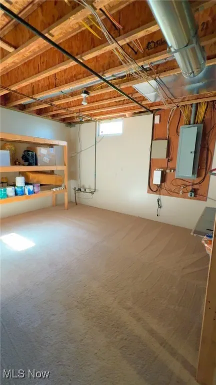 Below grade area with electric panel and carpet