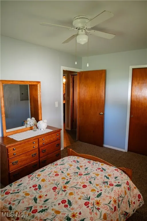 Carpeted bedroom featuring a ceiling fan and electric panel