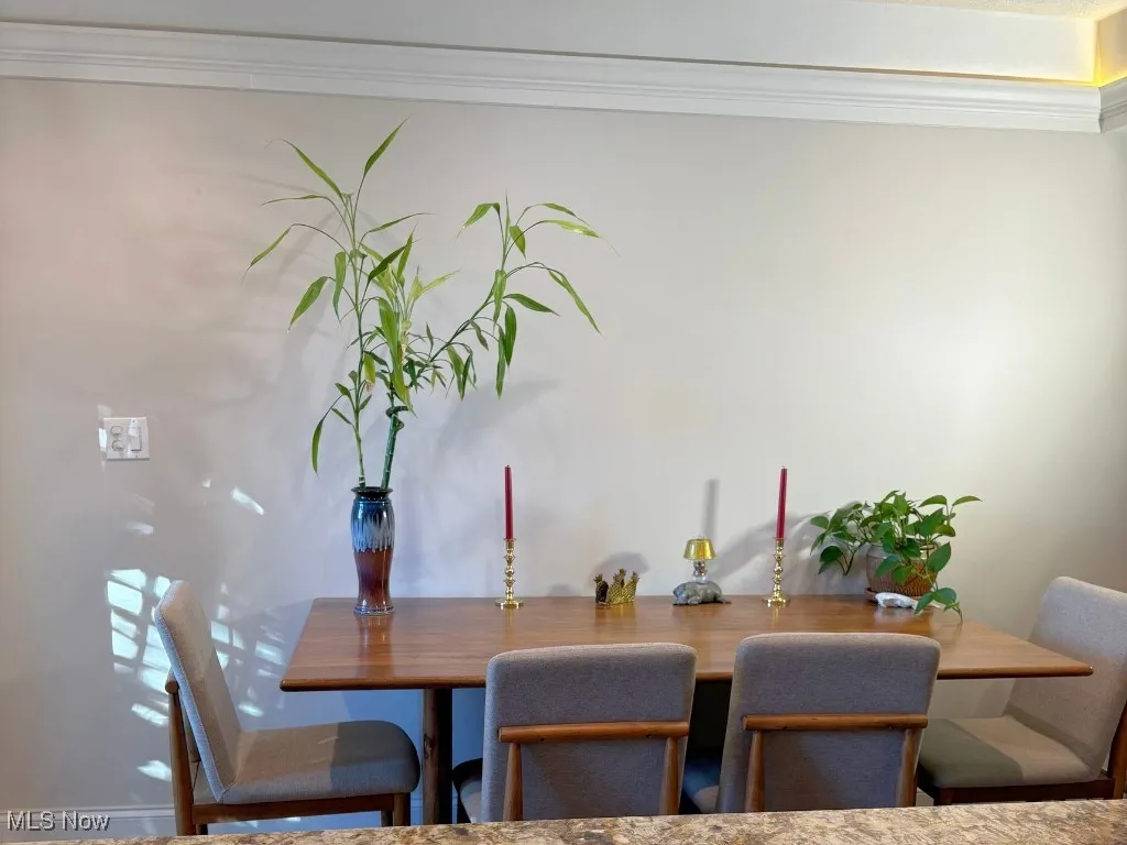 2392 Arlington Drive # 2392, Lyndhurst, Ohio 44124,MLS Now Listing ID