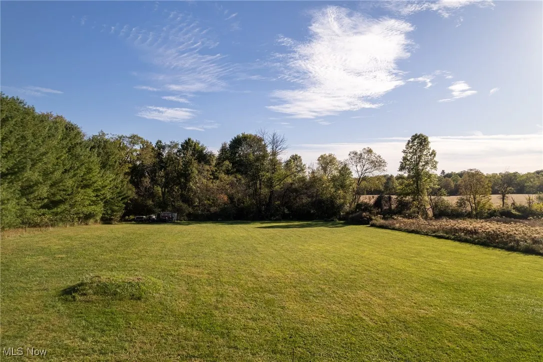 View of grassy yard