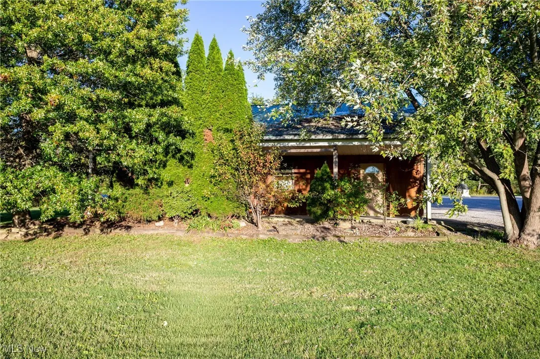 View of grassy yard