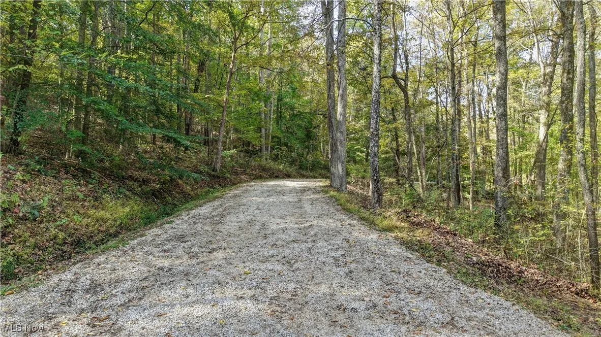 View of street featuring a forest view
