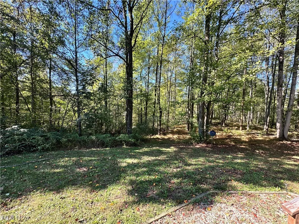 74369 Irish Ridge Road, Kimbolton, Ohio 43749,MLS Now Listing ID