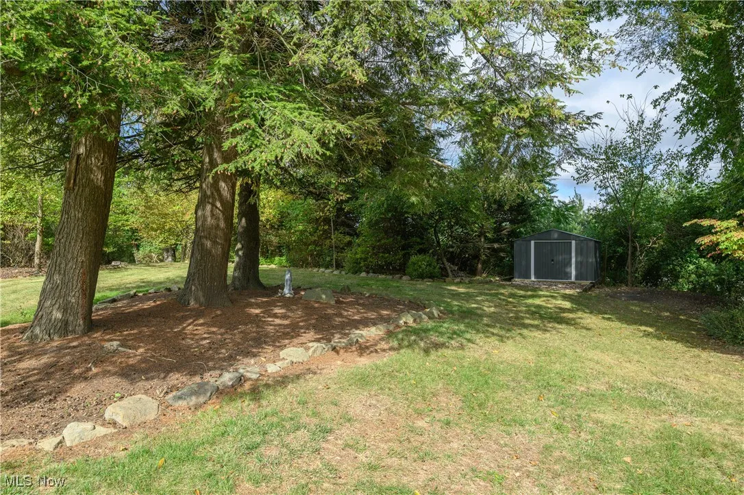 View of green lawn with a storage shed