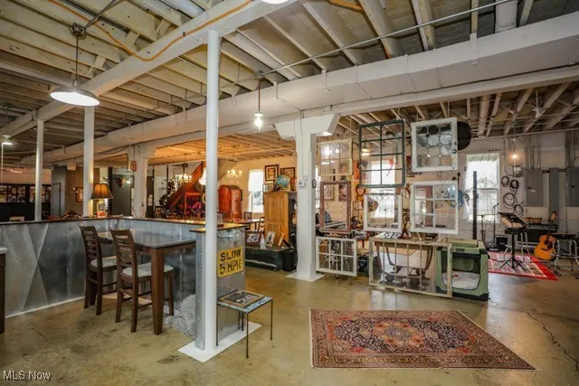 Basement with electric panel