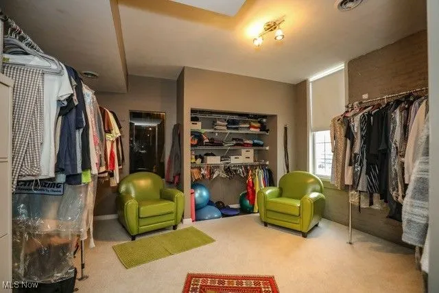 Walk in closet with carpet