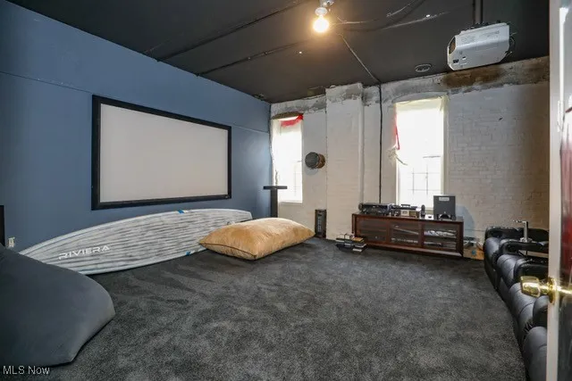 Cinema room featuring carpet