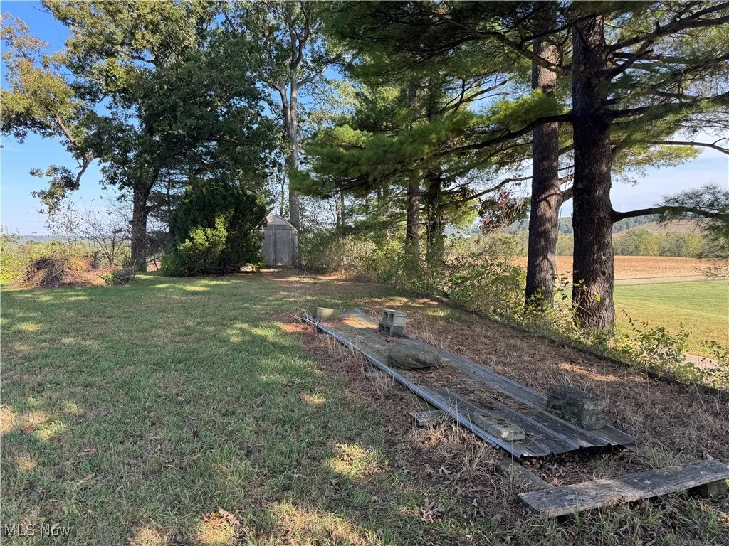 View of grassy yard featuring a storage unit