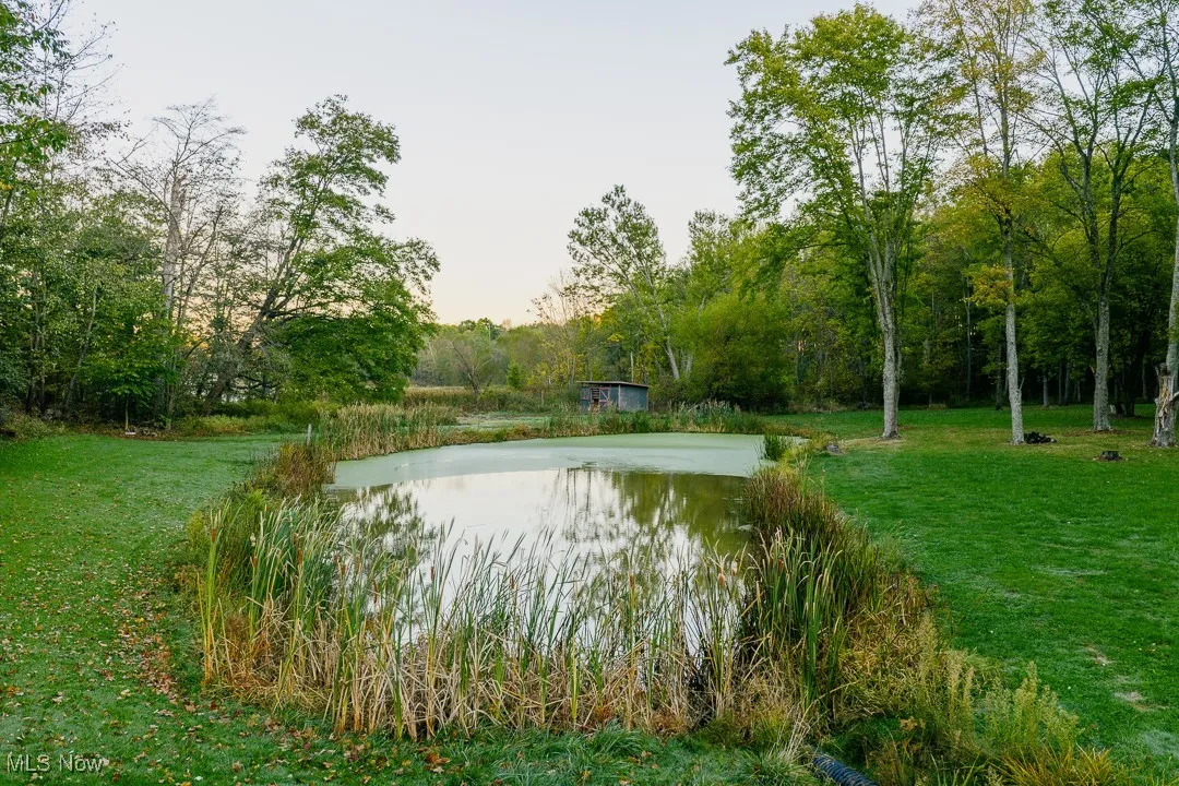 View of pond featuring a yard