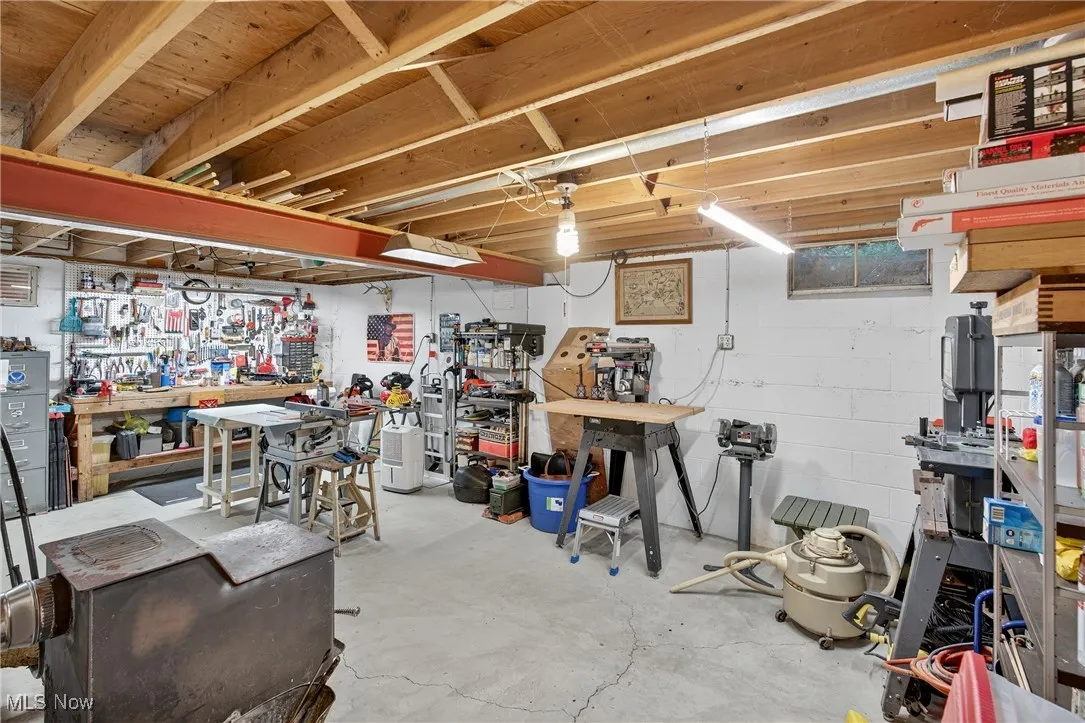 Basement featuring a workshop area