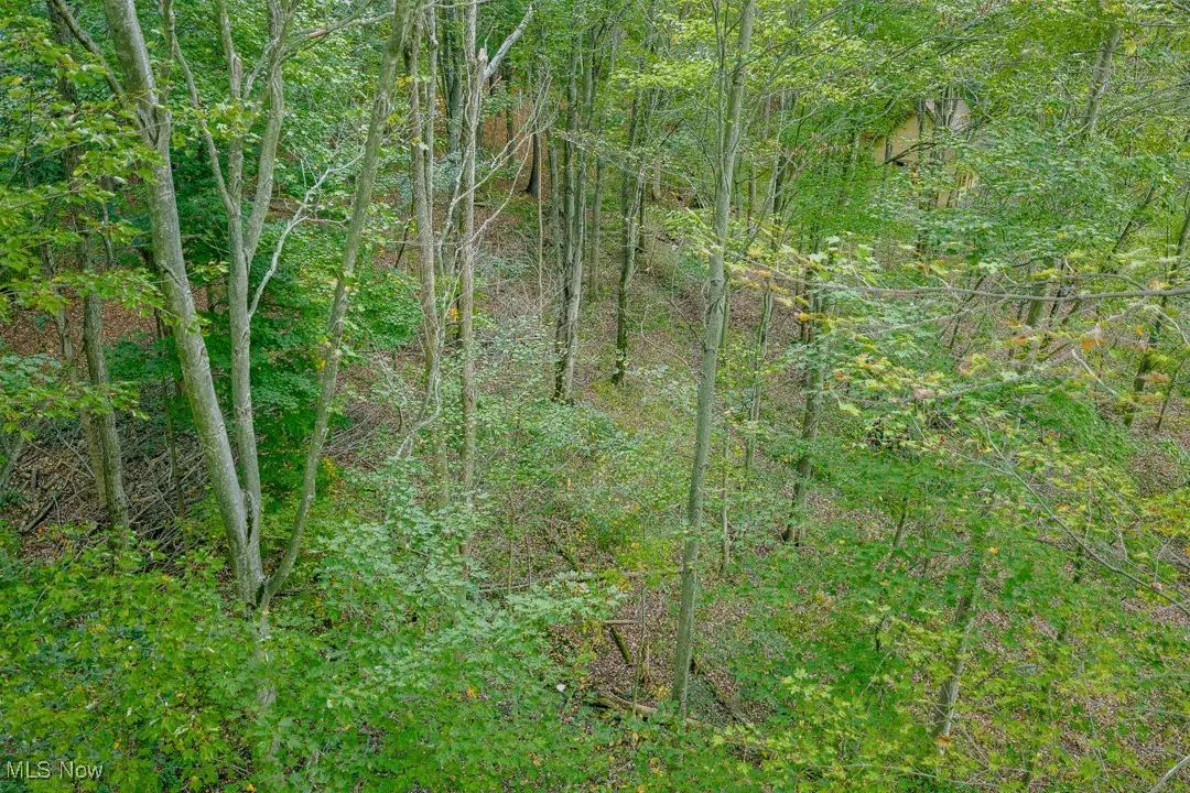 View of wooded area