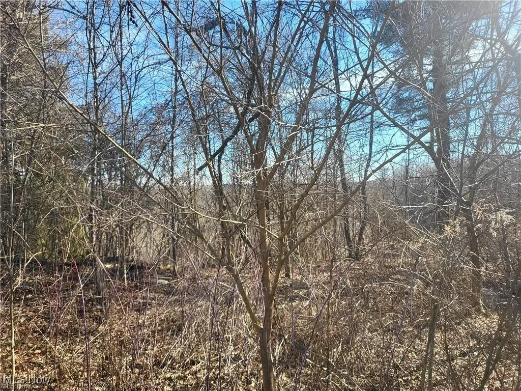 51737 Key Bellaire Road, Bellaire, Ohio 43906,MLS Now Listing ID