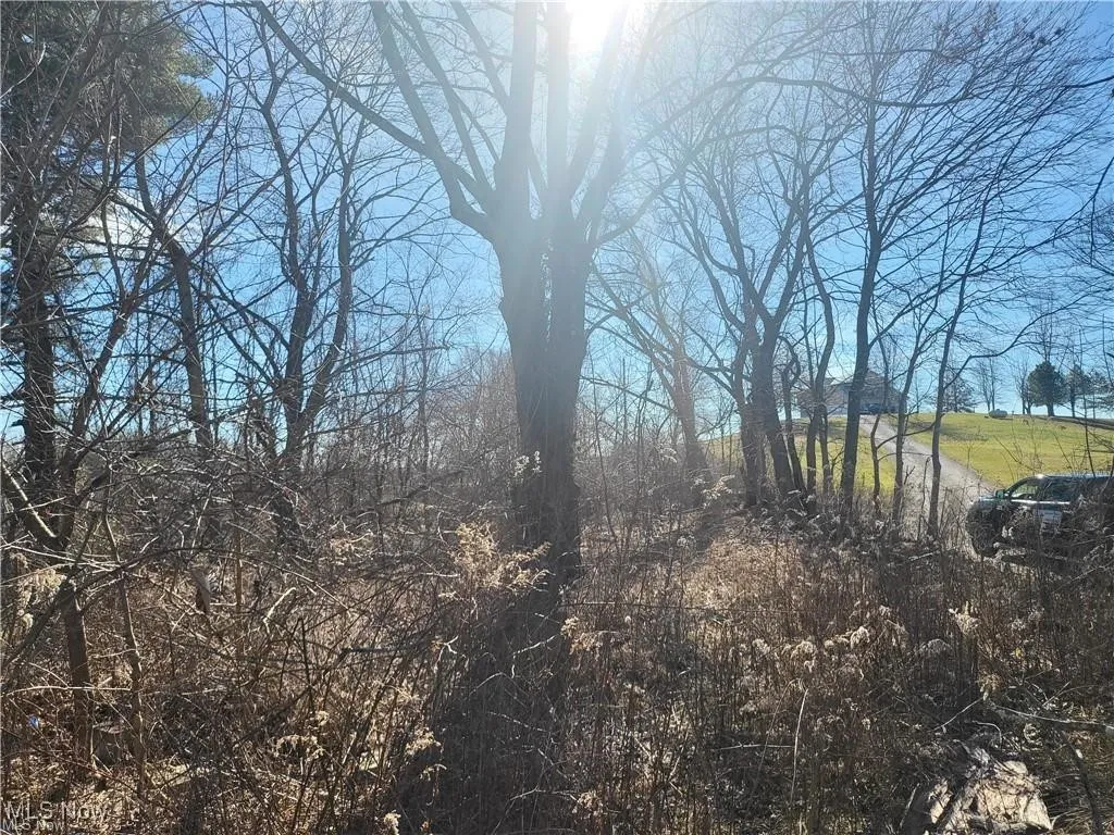 51737 Key Bellaire Road, Bellaire, Ohio 43906,MLS Now Listing ID