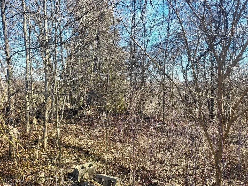 51737 Key Bellaire Road, Bellaire, Ohio 43906,MLS Now Listing ID