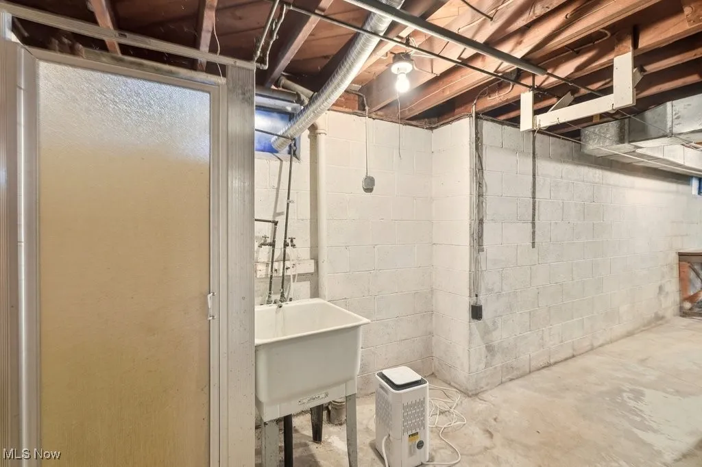 Unfinished portion of Basement featuring a sink and shower