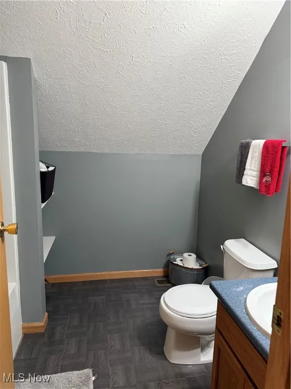 Bathroom featuring vanity, a textured ceiling, and vaulted ceiling