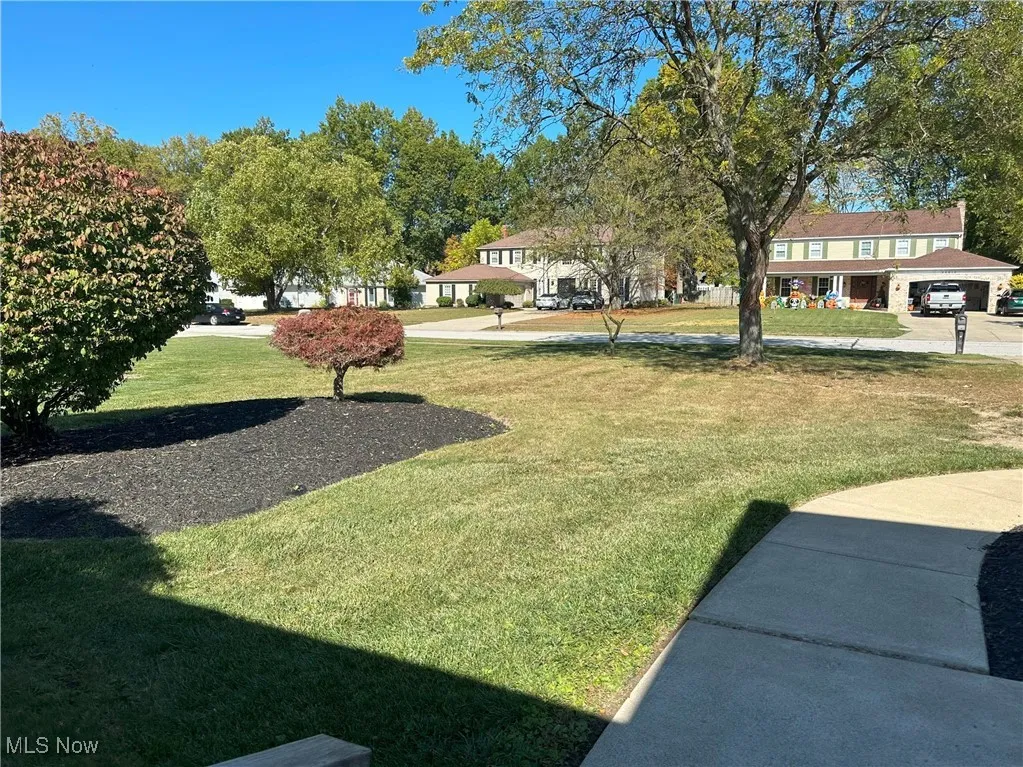 View of green lawn