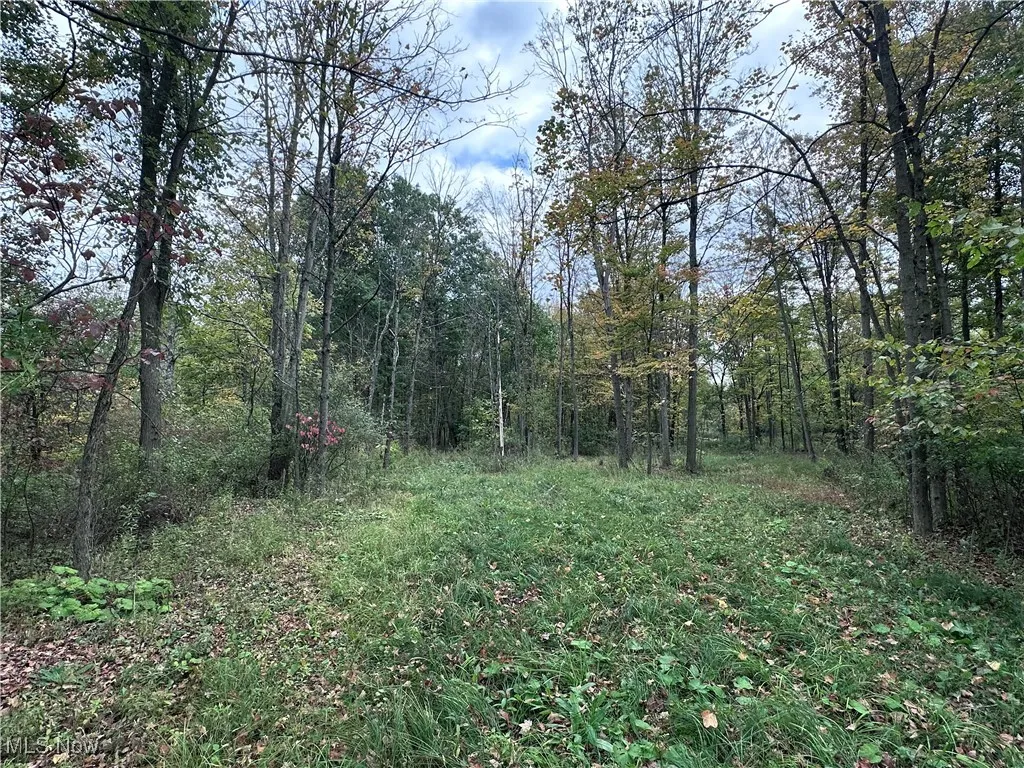 View of wooded area