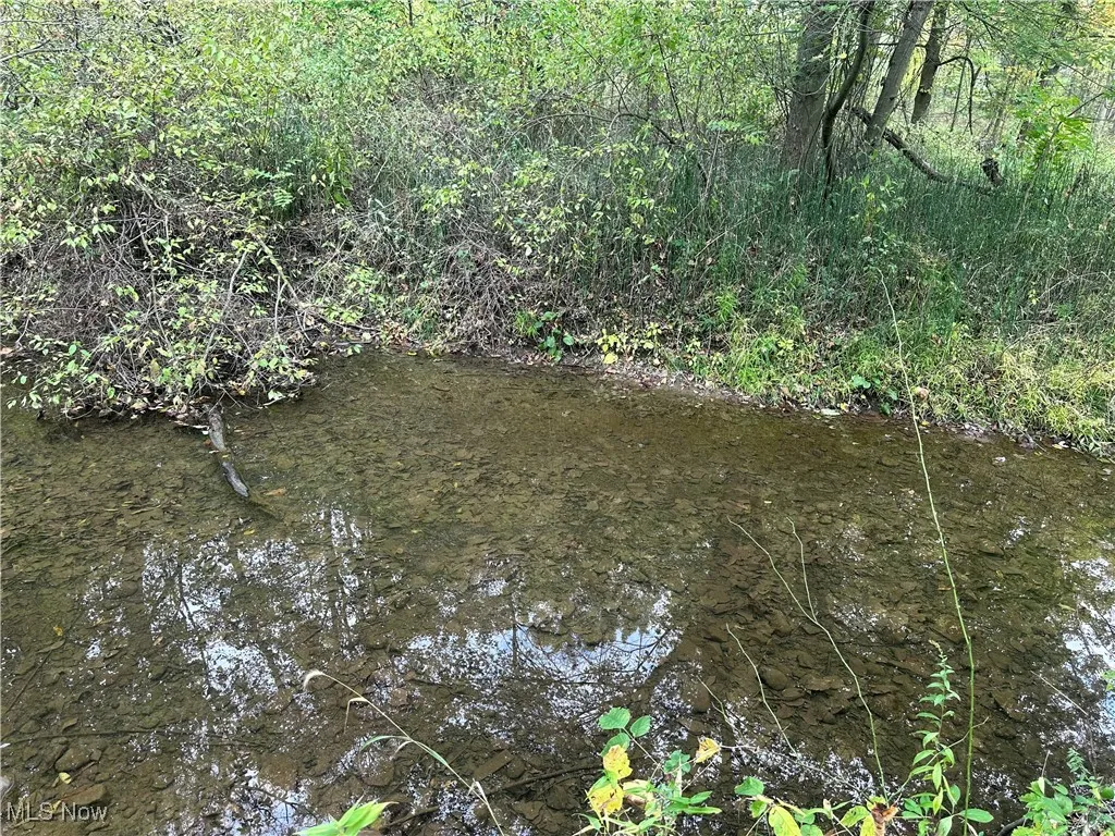 View of nature with a nearby body of water