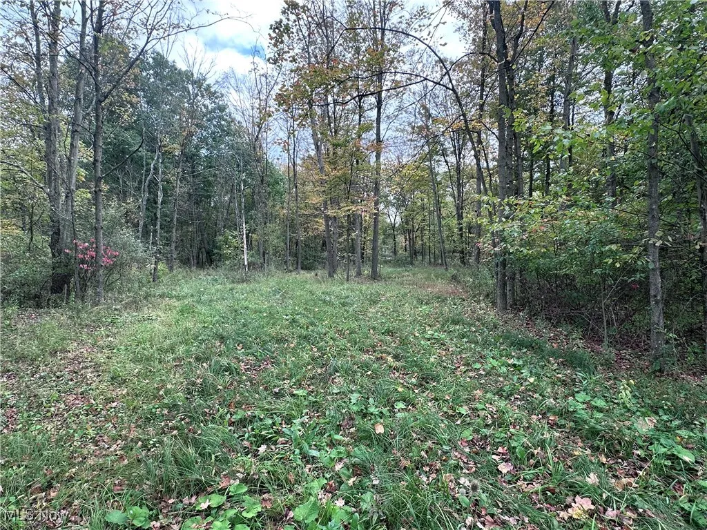 View of yard with a wooded view