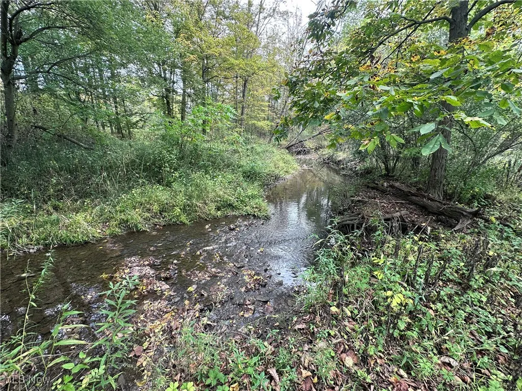 View of wooded area featuring a water view