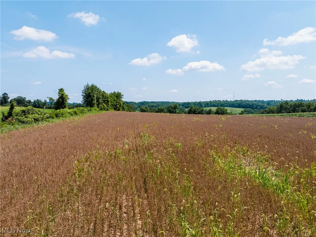 SR 83, Shreve, Ohio 44676,MLS Now Listing ID
