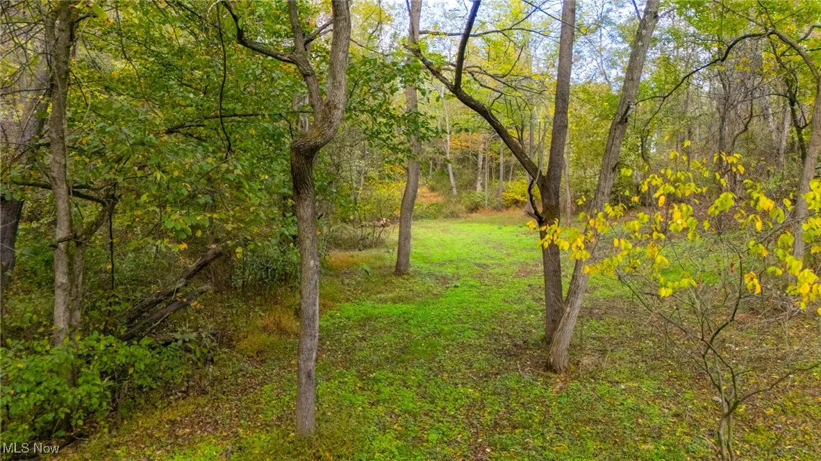 View of woods
