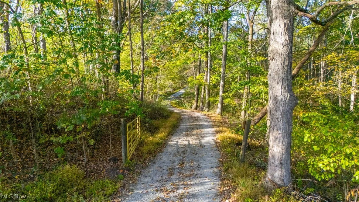 View of dirt / gravel road featuring a view of trees