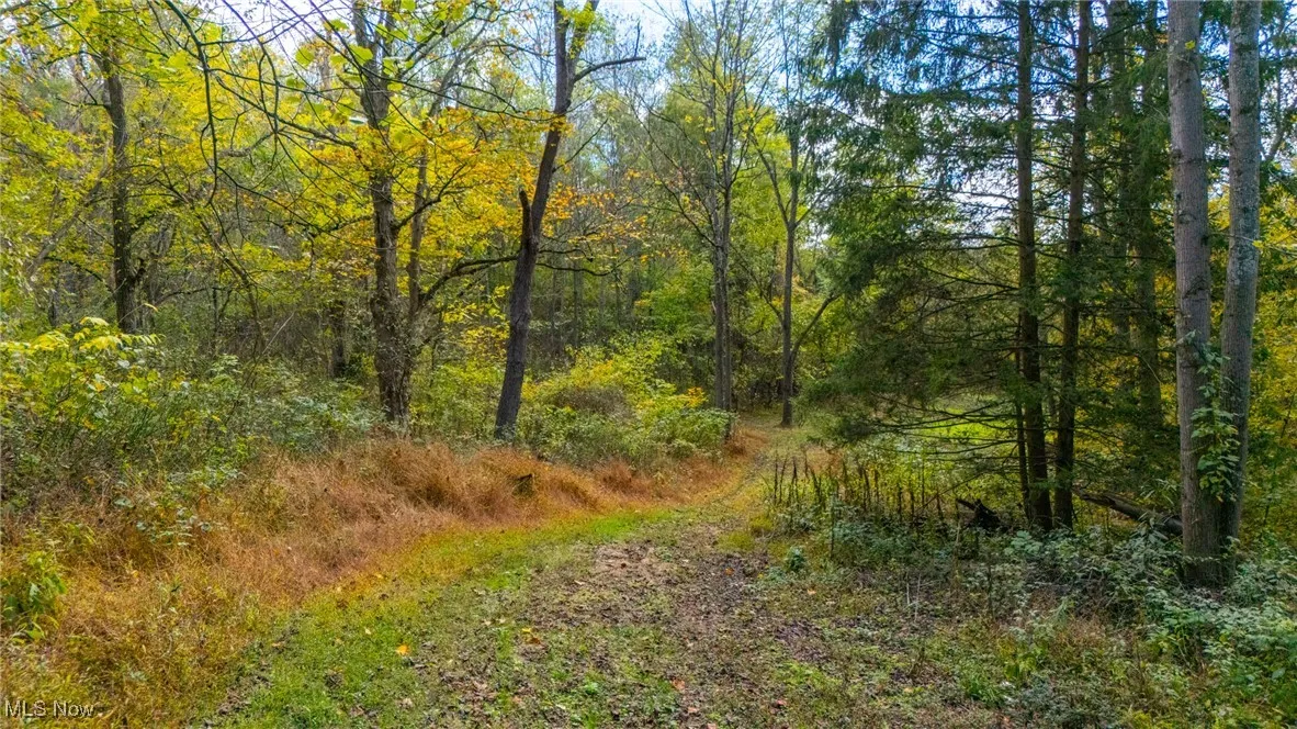 View of wooded area