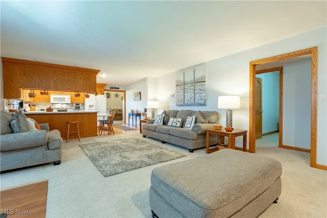Living room featuring baseboards and light colored carpet