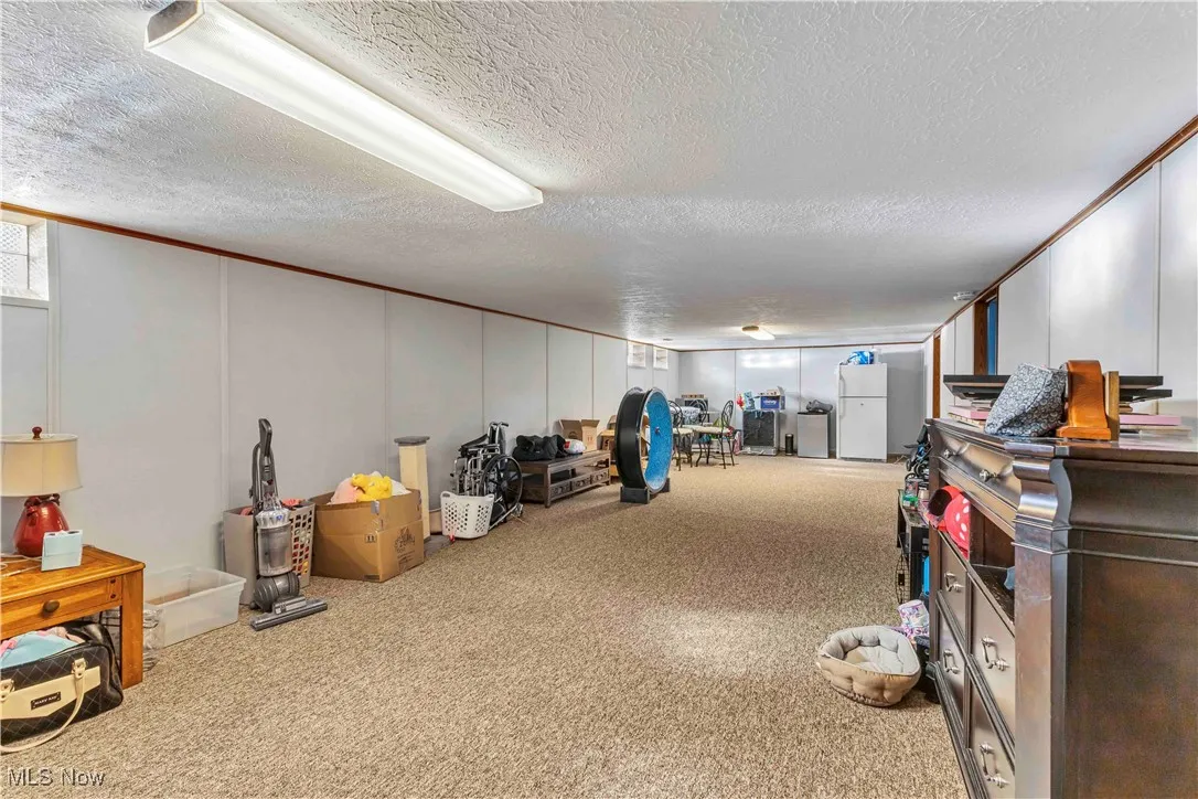 Below grade area featuring light colored carpet, a decorative wall, crown molding, freestanding refrigerator, and a textured ceiling