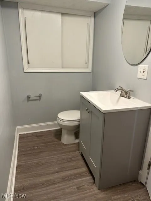 Lower level Bathroom with vanity and dark wood-type flooring