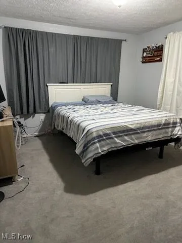 Master Bedroom featuring a textured ceiling and carpet
