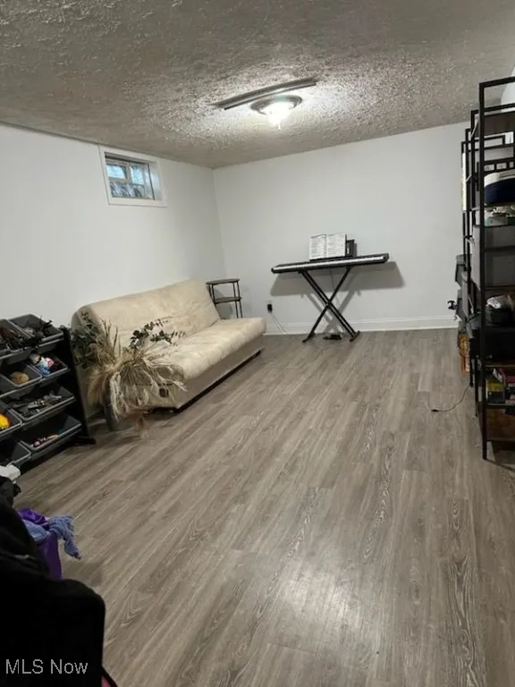 Lower level rec room featuring wood finished floors and a textured ceiling