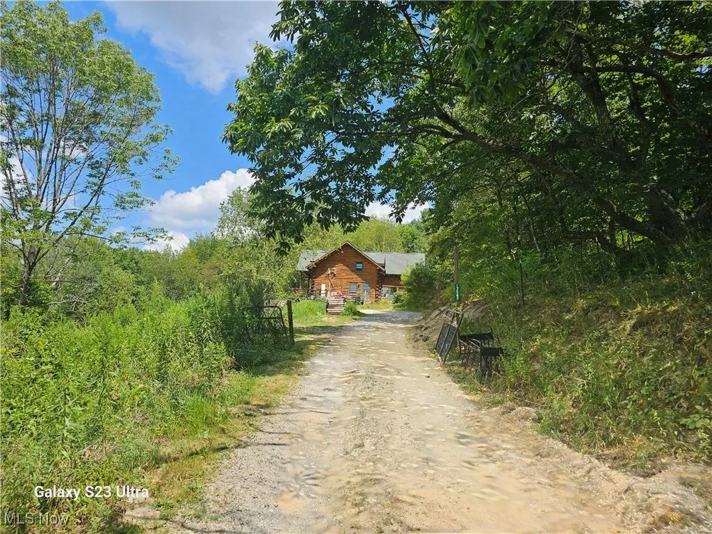 View of dirt / gravel road featuring a wooded view